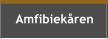 Amfibiekåren