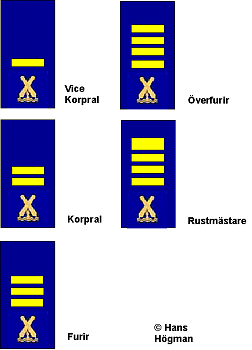 Militära gradbeteckningar, amfibiekåren 2003 / Military insignia in the ...